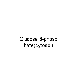 Glucose 6-phosphate(cytosol)